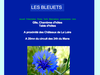 Les Bleuets